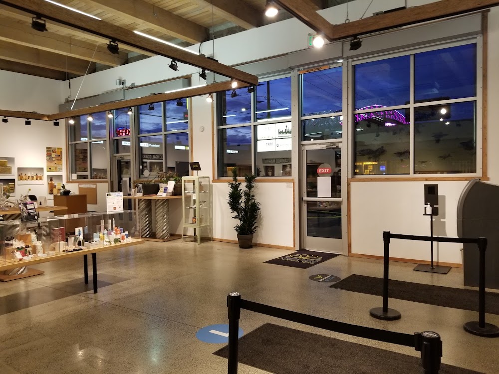 F.K. Kirsten Pipe and Cigar